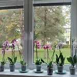 Orchidea 3 아파트 Stará ľubovňa