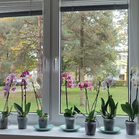 Orchidea 3 公寓 Stará ľubovňa